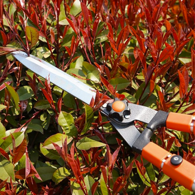 (30% OFF) Tree Pruning Shears