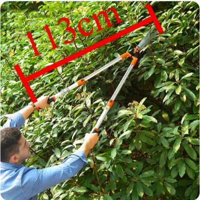 (30% OFF) Tree Pruning Shears