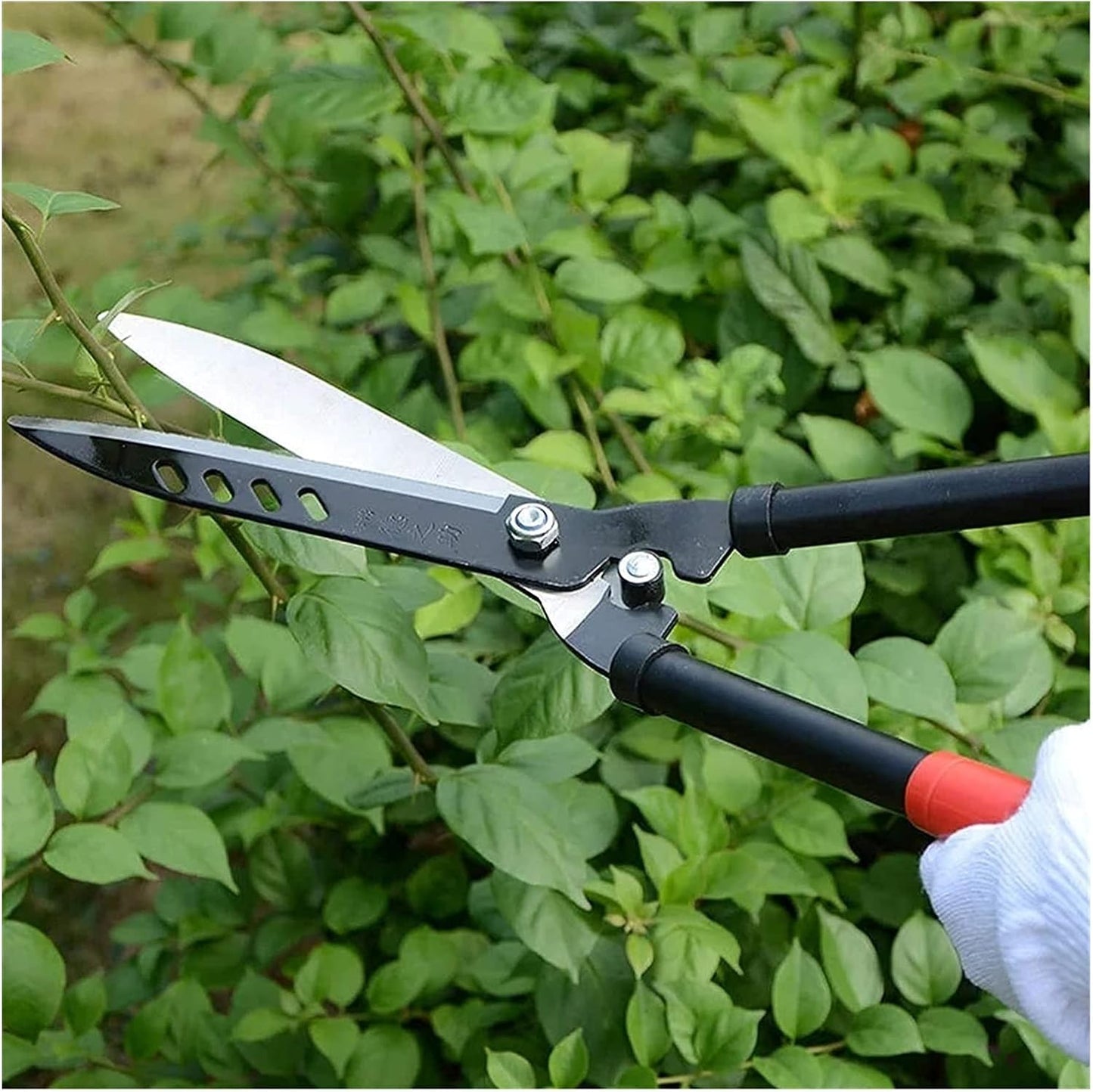 (30% DISCOUNT ) Garden Shears For Effective Tree Pruning