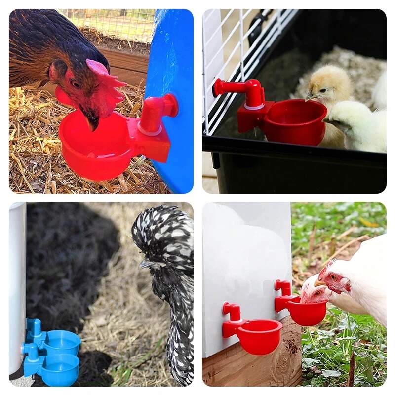 (Free Shipping) Automatic Chicken Water Cup