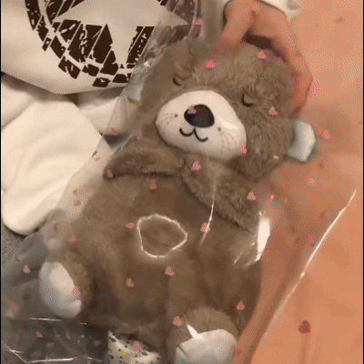 (30% DISCOUNT) Otter Breathing Teddy Bear