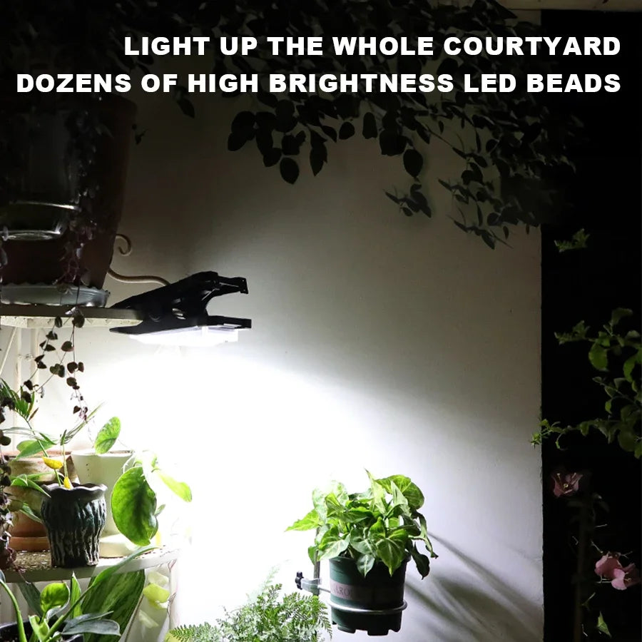 (30% DISCOUNT ) Solar lights clip the walkway, have smart sensors that automatically turn on, and are IP65 waterproof