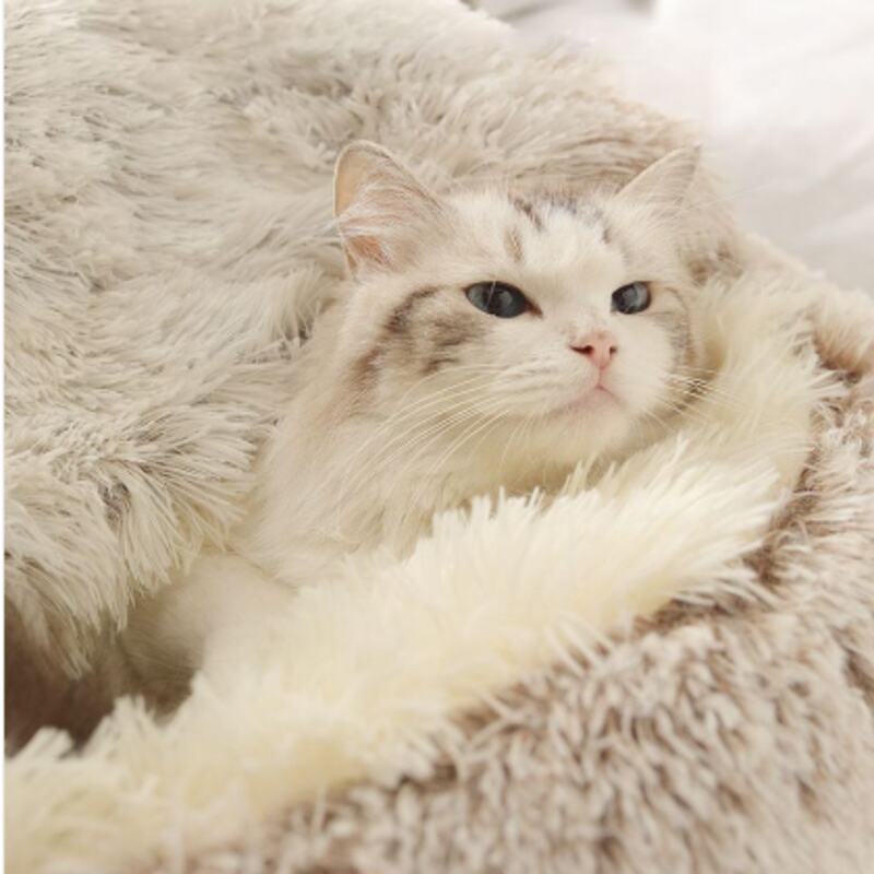 (30% OFF) Warm, Soft and Comfortable Pet Mattress Bed