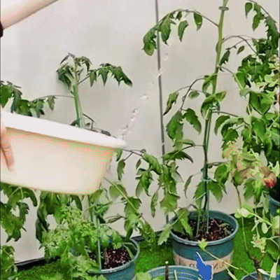 (30% OFF) Convenient Watering Can