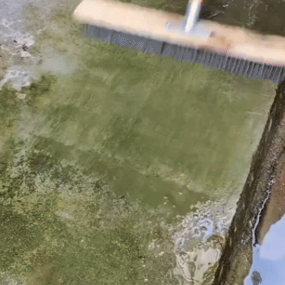 (30% OFF) Moss Scrubbing Broom