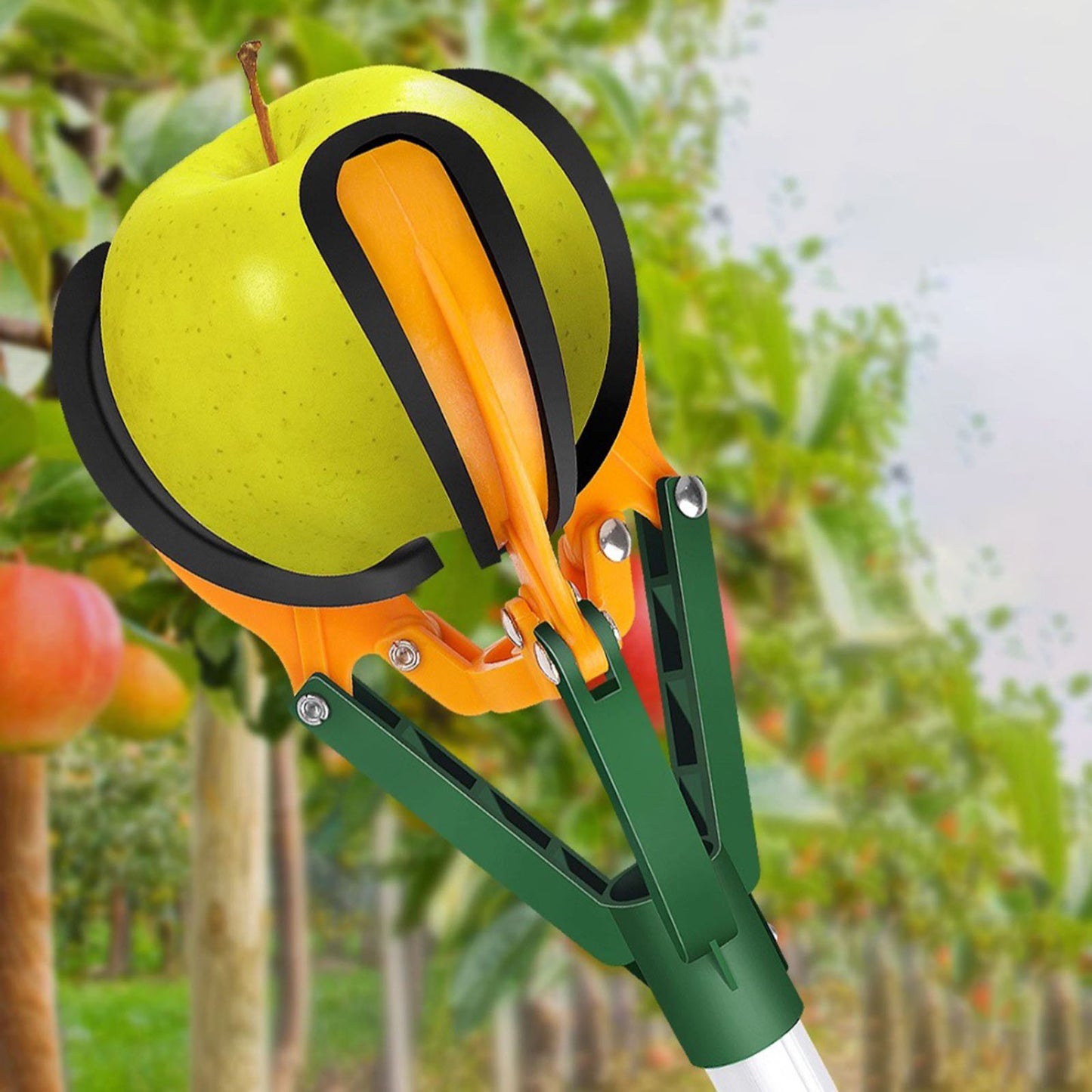 (30% DISCOUNT ) Convenient and safe high-altitude fruit picking stick, made of super durable high-quality carbon steel.