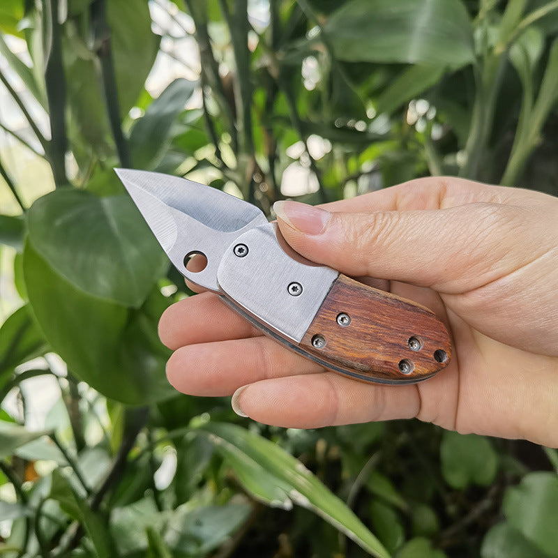 (30% OFF) JAPANESE Mini Pocket Knife | Super Sharp, Compact Titanium Steel