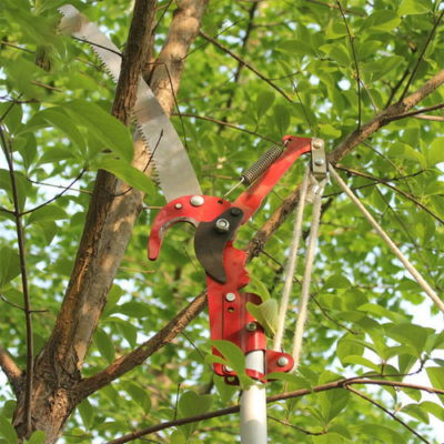 (HOT DEAL) 2 IN 1, Saw and Pruner for High Branches