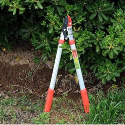 (30% DISCOUNT )  Tree Branch Pruning Shears Have A Force Guiding System